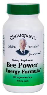 Bee Power Energy