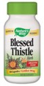 Blessed Thistle Herb