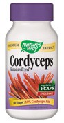 Cordyceps Standardized