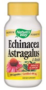 Echinacea Astragalus Reishi